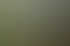 DSC06549.jpg