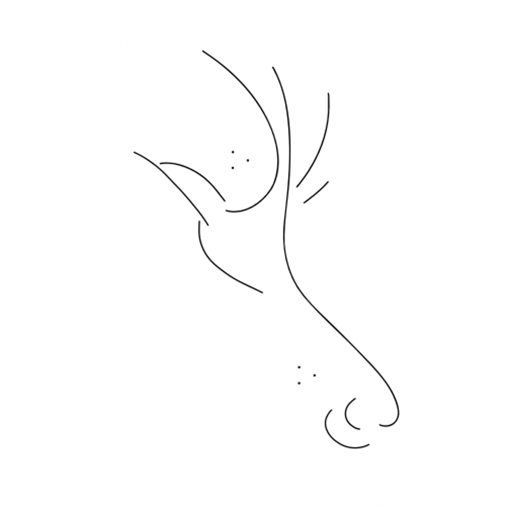 Stilisierte schwarze Linien, die abstrakt einen Vogel mit Schnabel und Schwanzfedern darstellen.