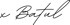 x Batul