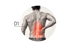 A man's back with a glowing red anatomical spine overlay highlighting lower back pain, next to the number 01.