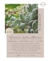 Flyer für Workshop „Grüner Lebendkranz“ am 11. September mit Sukkulenten-Nahaufnahme für 65 Euro.