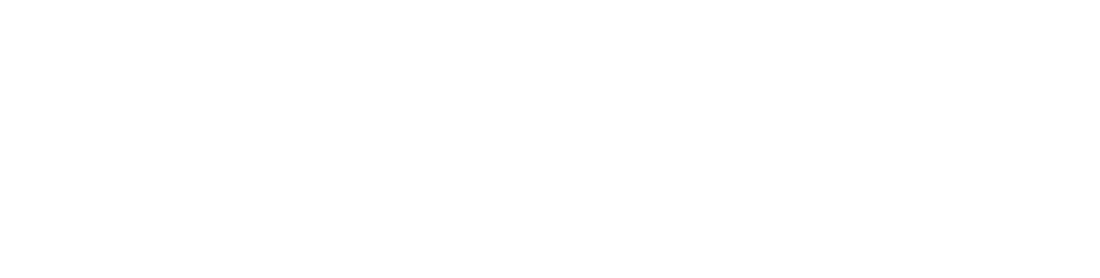 Weißer Text auf grünem Hintergrund, der "People Nova" mit einem Sternchen nach dem "a" liest.