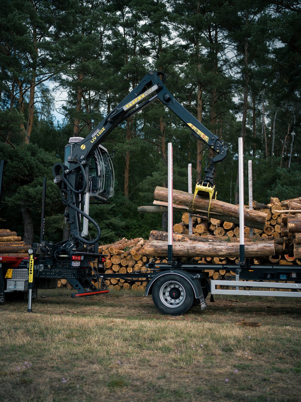 Verladung von Rundholz auf einen LKW
