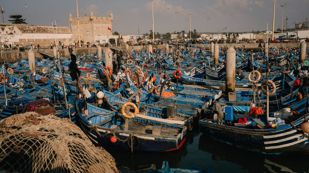 Blaue Fischerboote dicht an dicht im Hafen von Essaouira