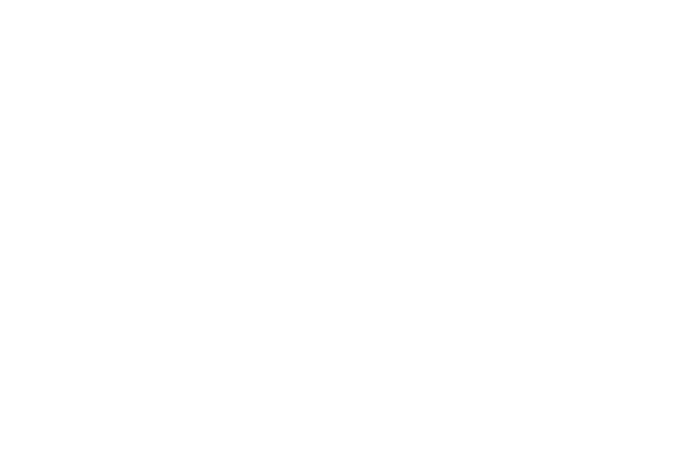 Card & Finance Consulting GmbH Logo, Muttergesellschaft von TCS