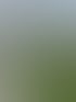 Gartengestaltung in Berlin-Stegitz mit Rollrasen, Hochbeeten und Pflasterarbeiten - Baumfreunde Berlin