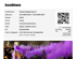 Bookinea ticket for "Solved Happening 2.0" on 31.12.1999, QR code, and event crowd with purple smoke.