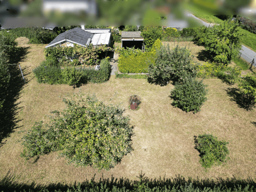 Blick von oben auf ein Haus mit Garten, Rasenflächen, Büschen, Bäumen und einem Rasenroboter.
