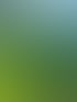 Gartenpflege in Cottbus & Heckenschnitt | Hecken & Halm