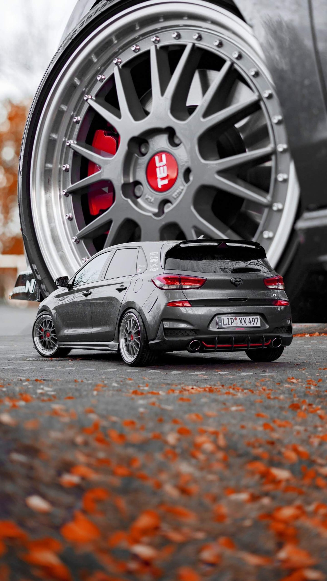 Black car with TEC Speedwheels GT EVO wheels on autumn leaves