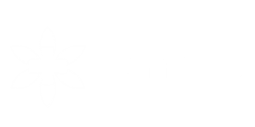 Grünes Logo mit weißer Blume, die ein Pluszeichen umschließt, und dem Wort "Dinetic".
