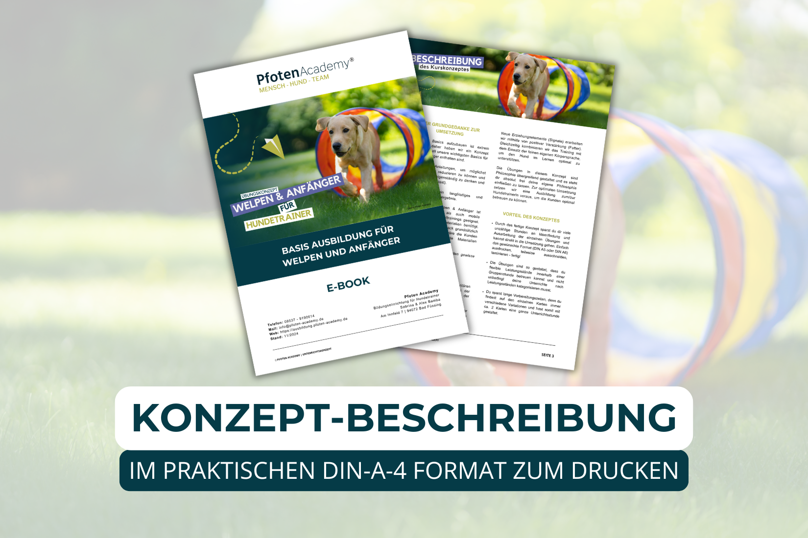 Basisübungen für Welpen und Anfänger – Bild 2