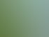 Gepflegte grüne Rasenfläche im Innenhof einer Wohnanlage mit gepflastertem Gehweg und Bäumen im Hintergrund.