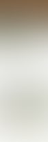 Shopify-Shop von Rollrasen Ratsziegelei
