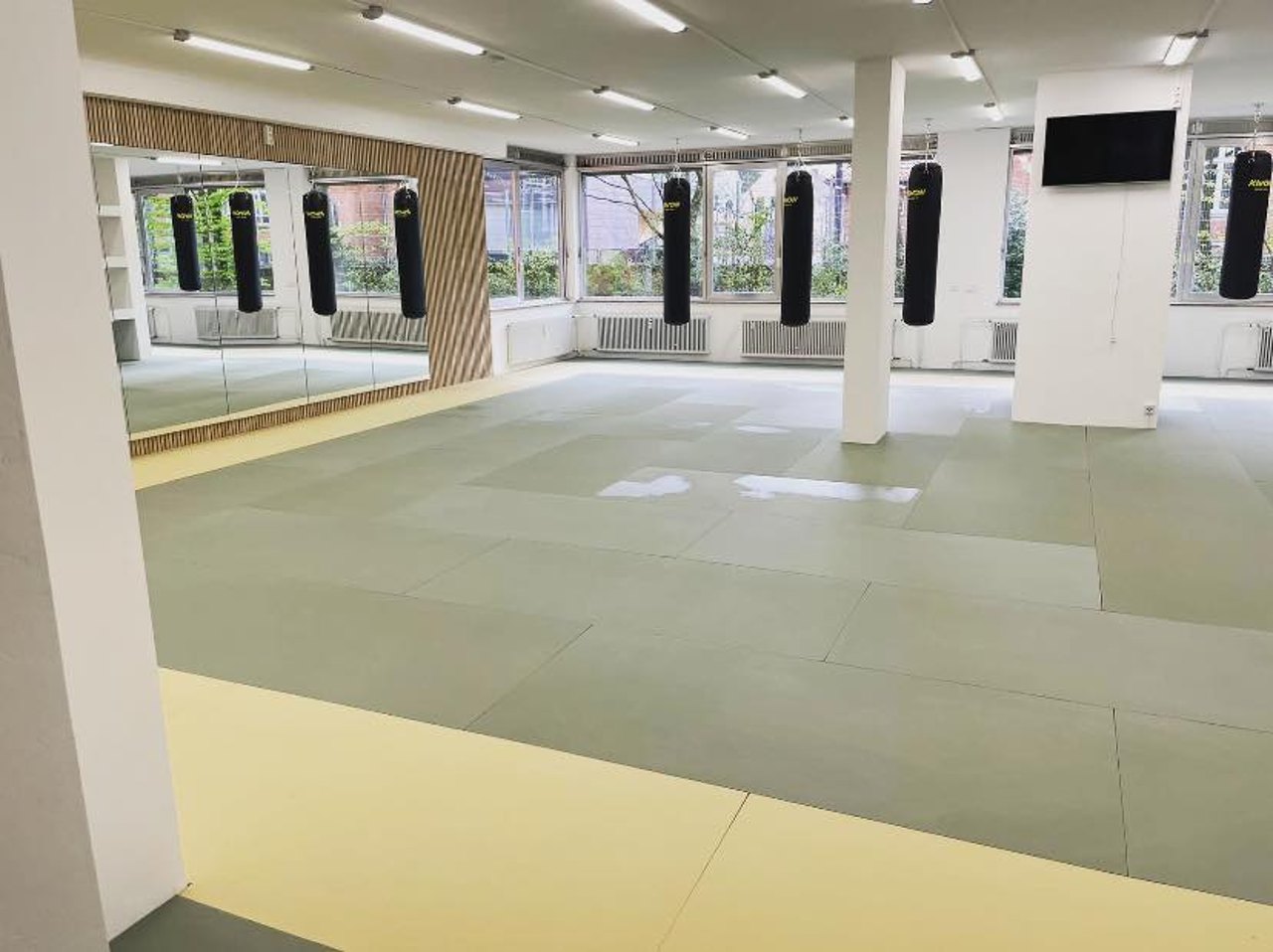 Trainingsfläche von SOMA Taekwondo am Augustusring in Bonn