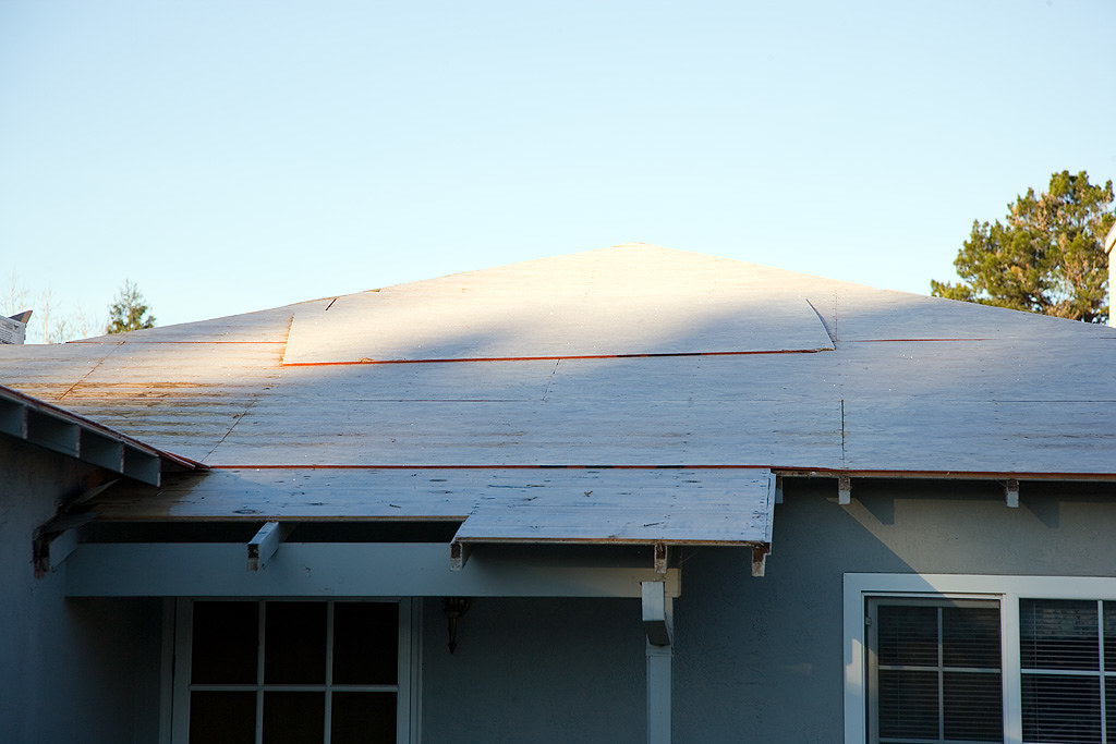 Roof edge and eave line being assessed for wear and drainage condition