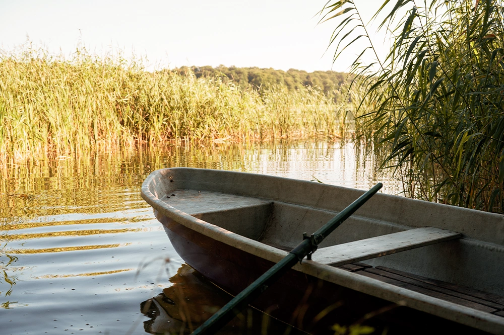 Der Haussee