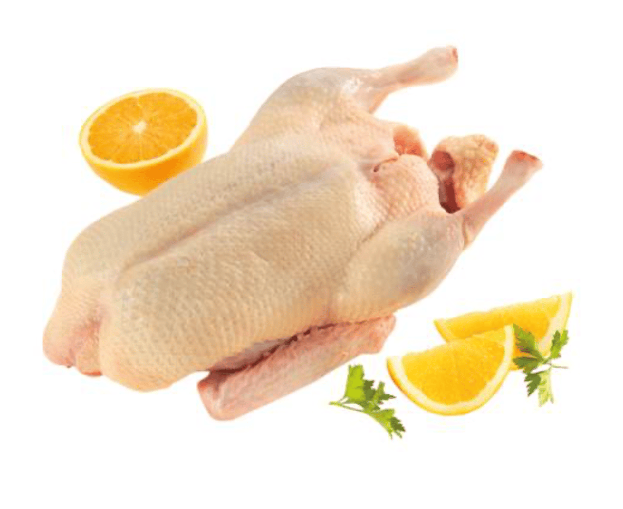 Ente