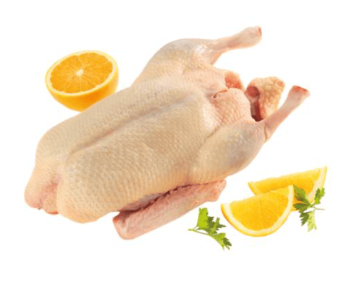 Ente