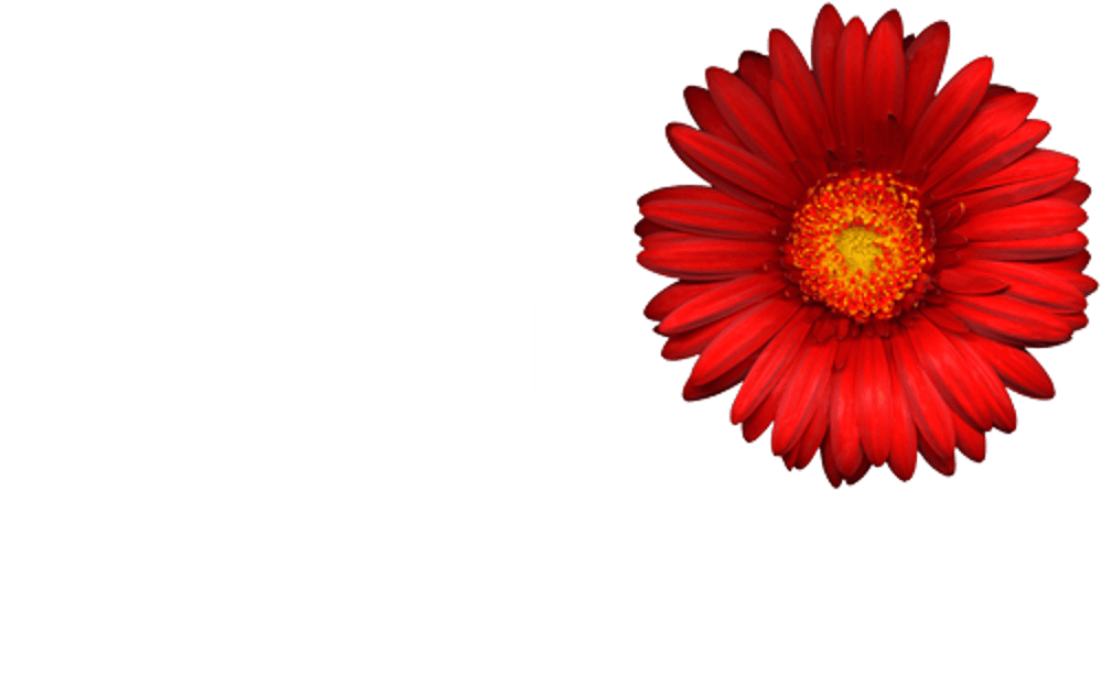 TEAM Oschmann Logo mit weißem Text und einer blauen Wassertropfen-Grafik auf grünem Hintergrund.