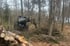 Ein schwarzer Forstschlepper arbeitet bei Waldarbeiten im dichten Wald neben einem Stapel gefällter Baumstämme.