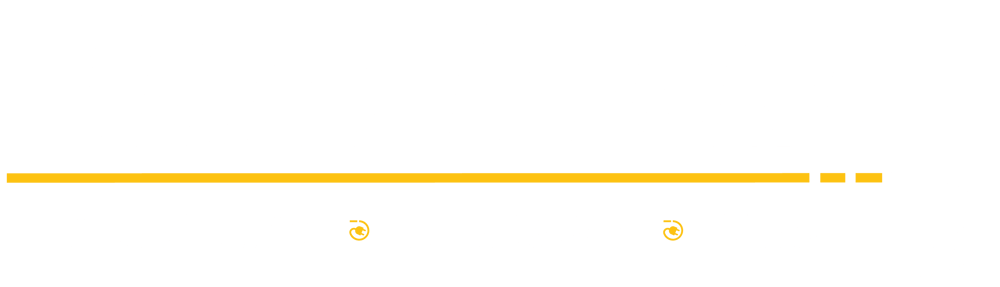 Thiele Elektro Logo 