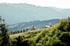 Alm im Sommer in der Region Piesendorf Niedernsill
