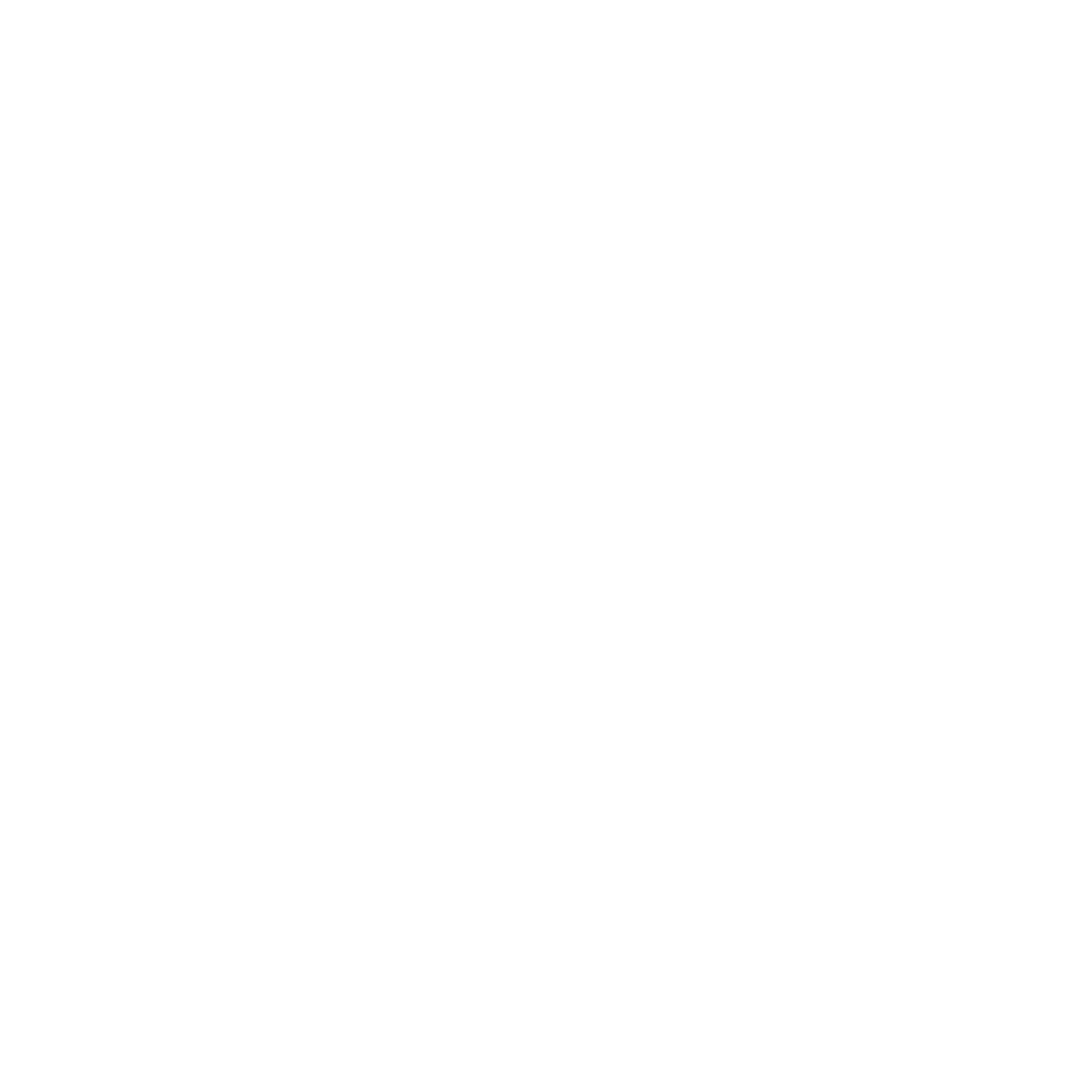 Weißes "P" mit Rakete und Orbit auf grünem Hintergrund, darunter "PAGEHERO WERBEAGENTUR".