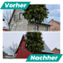 Vorher / Nachher Vergleich