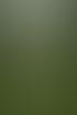 Braut unter Lichterketten im Garten – elegante Hochzeit unter freiem Himmel.