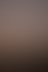 Sara-Cantieni-2025-Low-Res-41.jpg