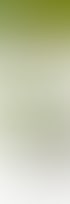 Shopify-Shop von biogartenladen