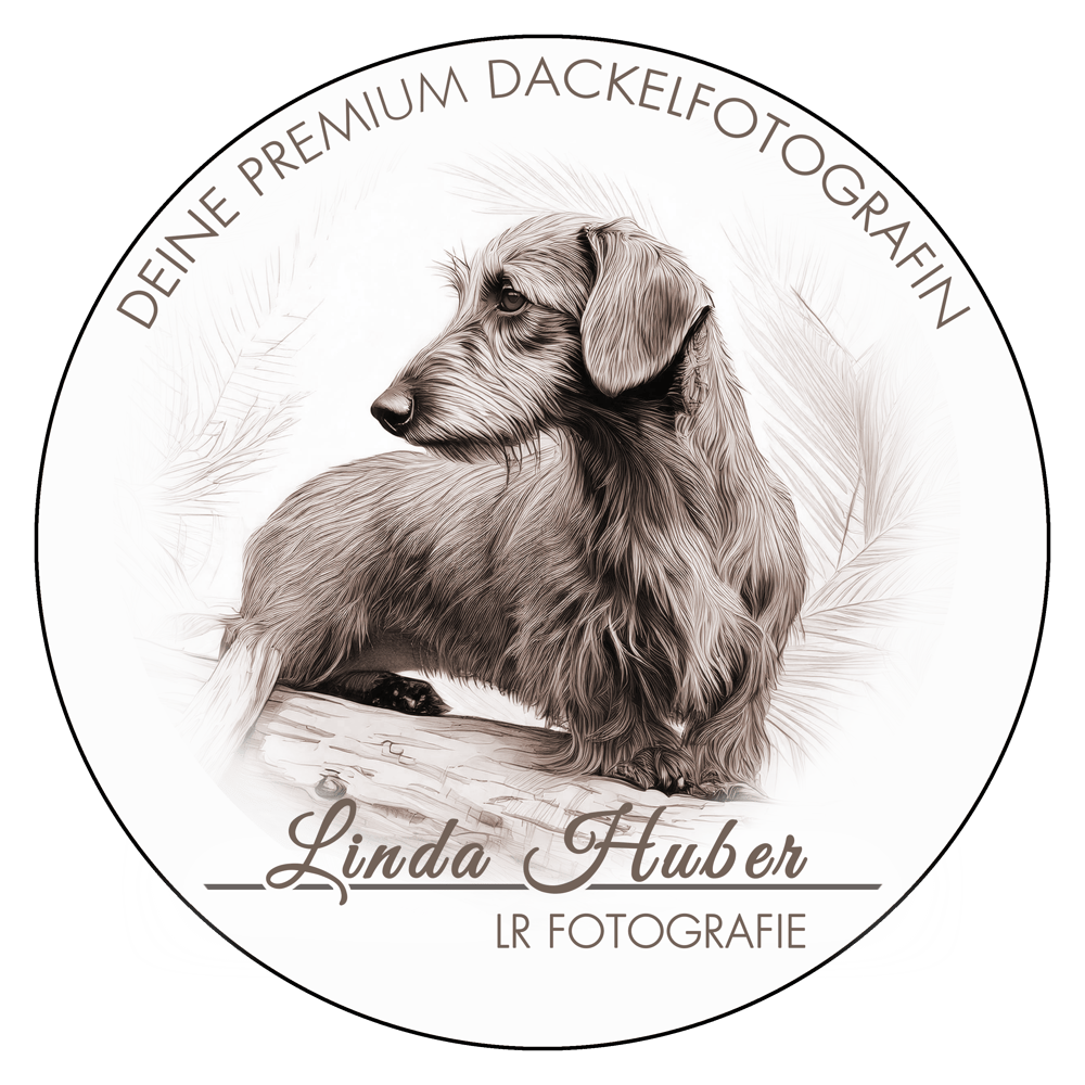 Logo Premium Dackelfotografin