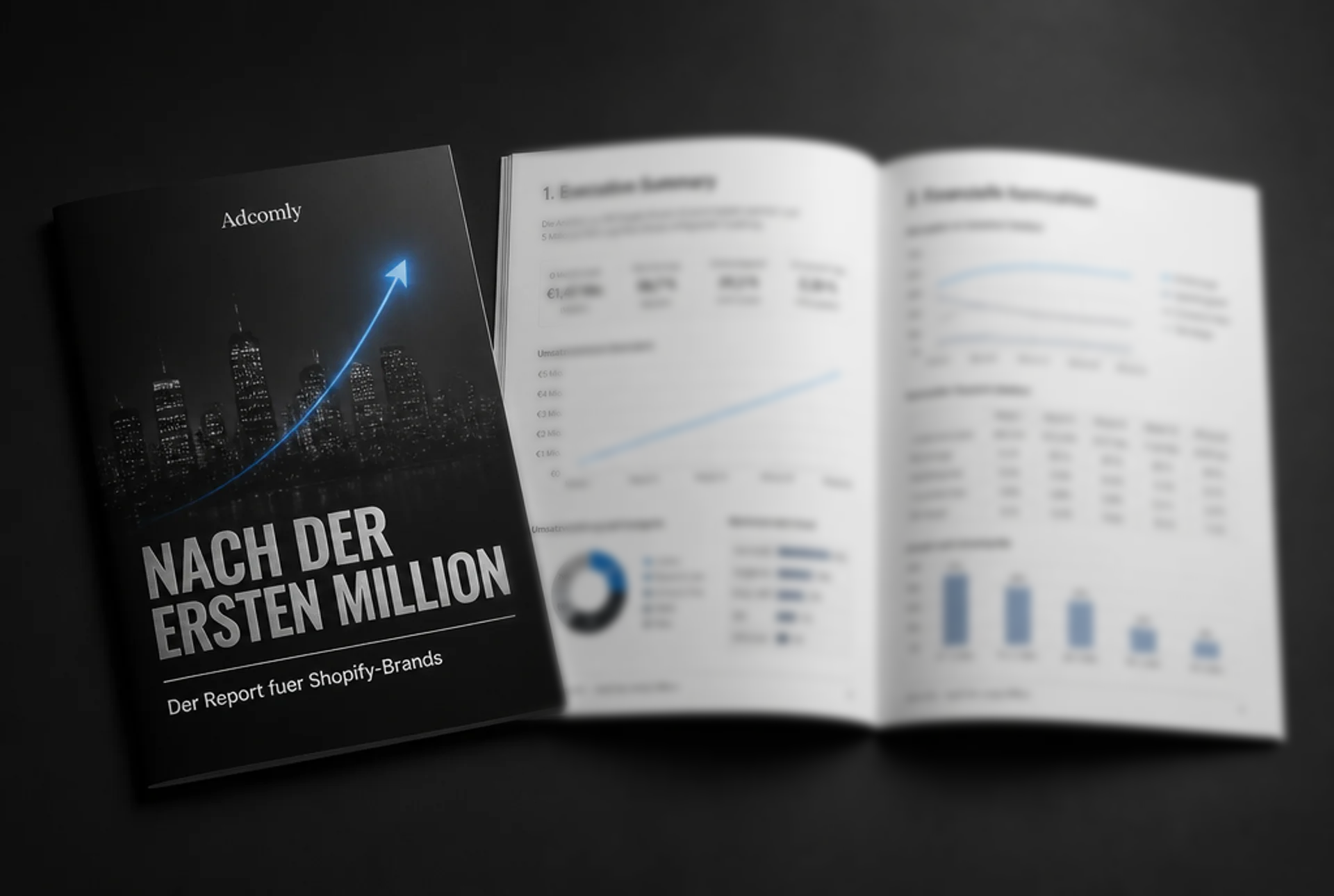 Nach der ersten Million – Report von Adcomly