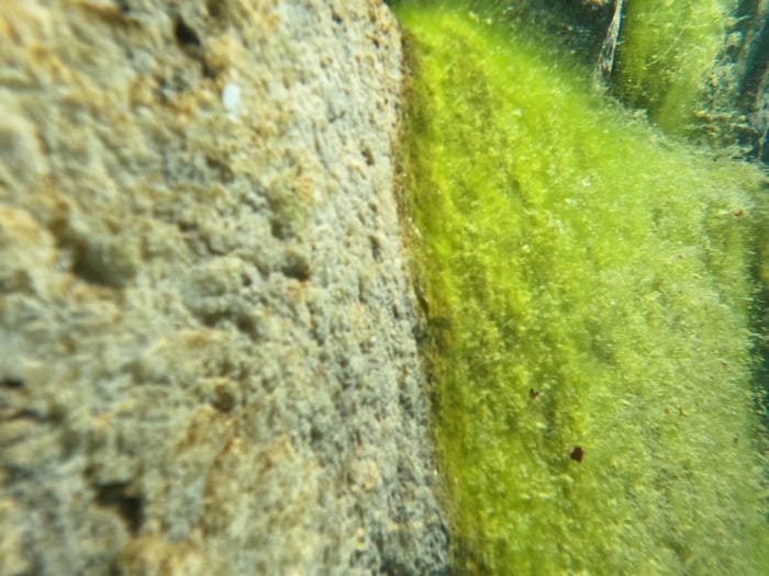 Einsatz Triton