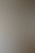 Moderner Eck-Gaskamin mit brennenden Flammen in einer Wand, daneben Zimmerpflanze und Durchblick in den Garten.