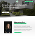 Website Design in Grün