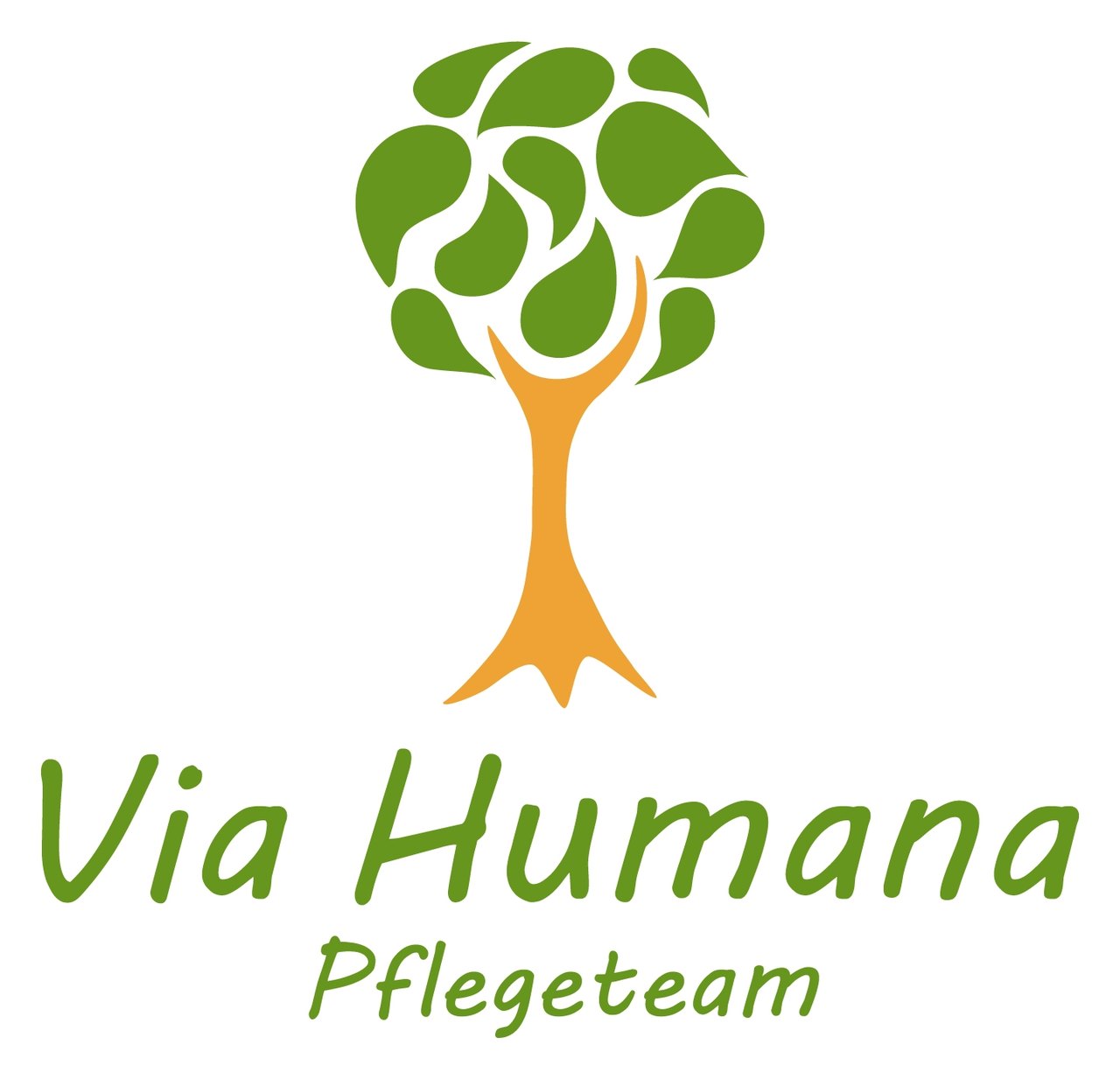Logo Via Humana