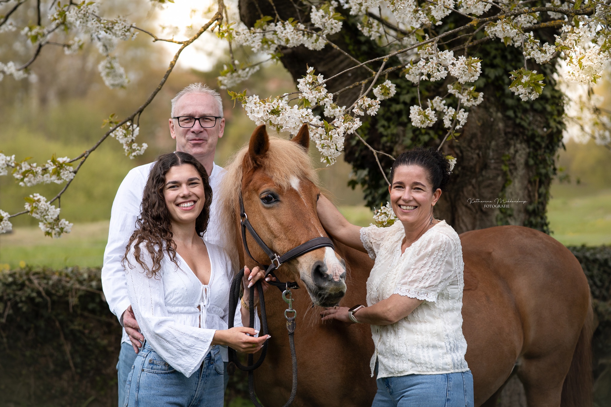Pferdefotografie von Katharina Middendorp