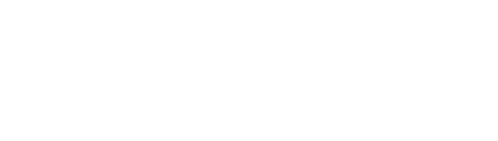 Logo mit dem Wort „Stara“, dem russischen Text „Постоянное Развитие“ und einem Daumen-hoch-Symbol in einem Kreis.