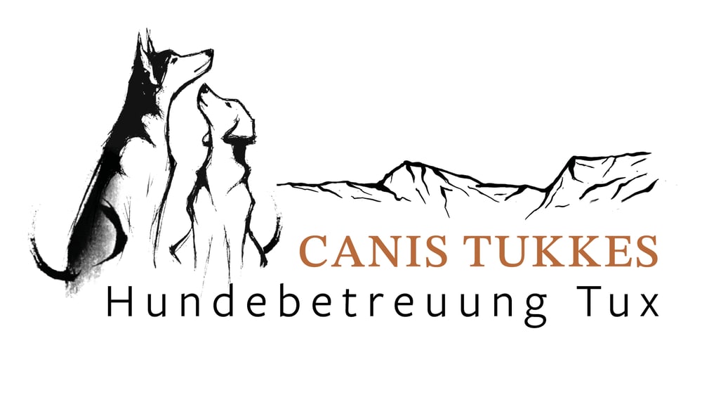Zwei Hunde und Berge, daneben "CANIS TUKKES Hundebetreuung Tux" in Schwarz und Orange.