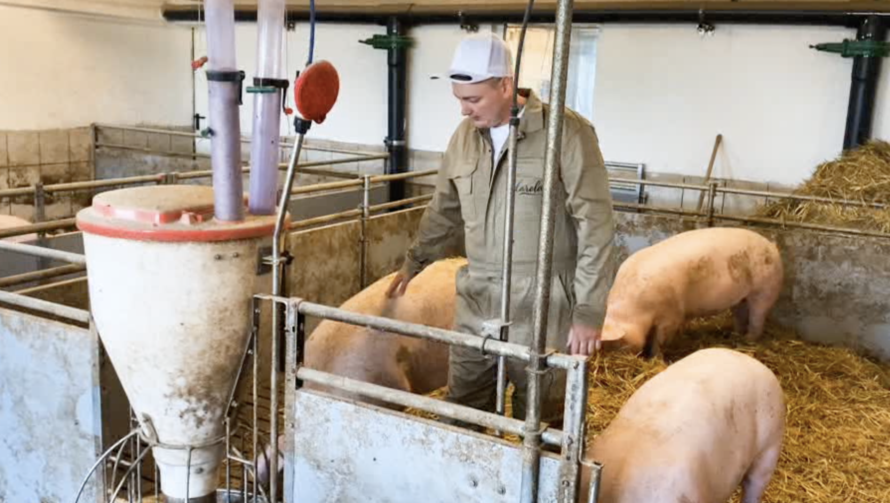 Unser Stall – Raum, Ruhe, Verantwortung.