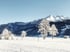 Winter in der Region Piesendorf Niedernsill