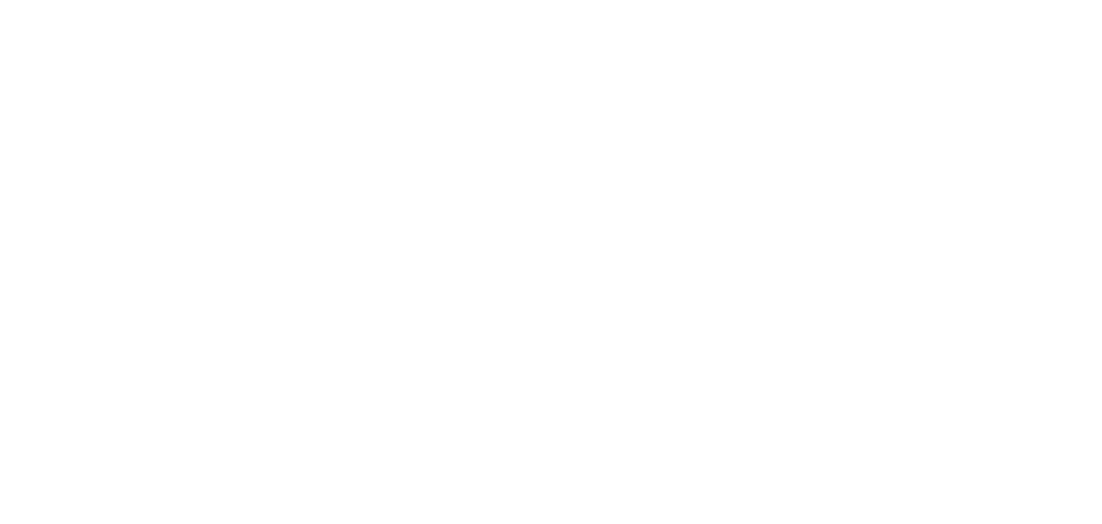 Bridgestone-Logo und Webfleet Premium Partner-Logo auf grünem Hintergrund.