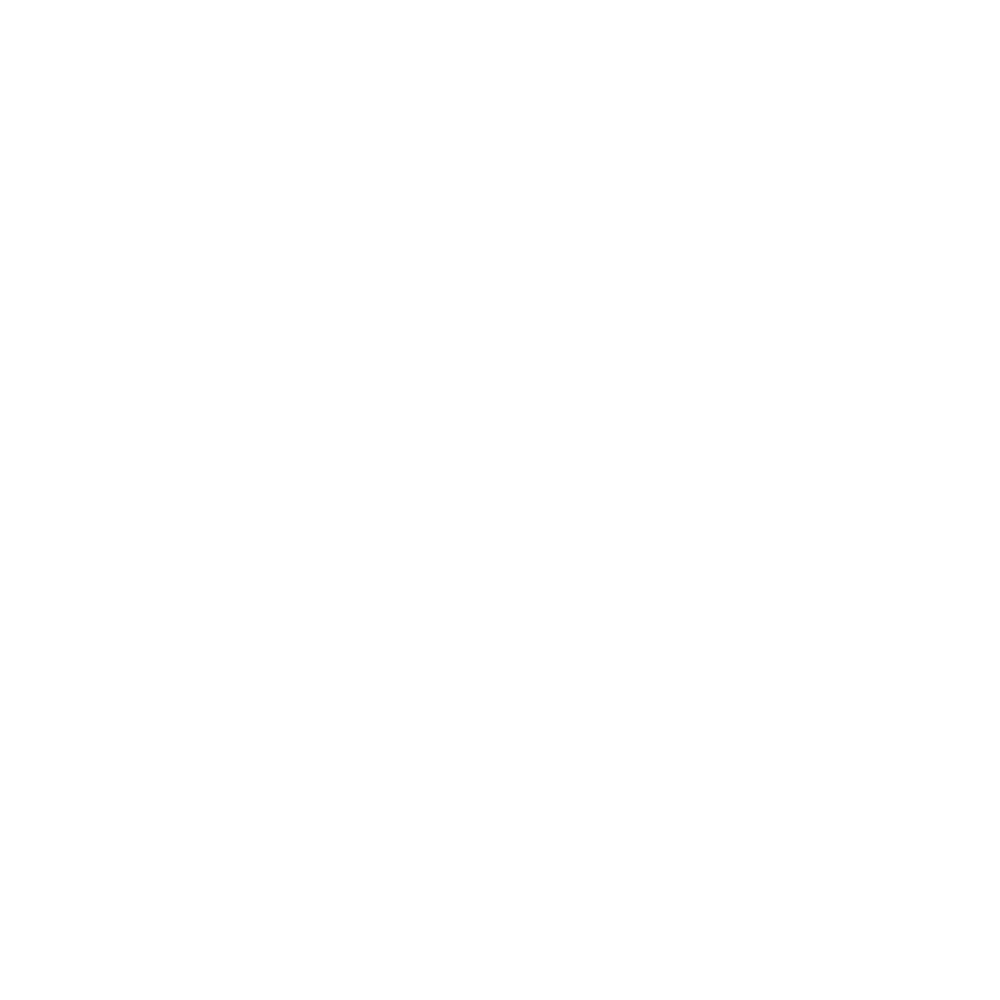 Weißer Text „ART OF INK ACAD.“ auf dunkelgrünem Hintergrund, umrahmt von einer weißen Linie.