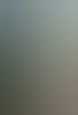 image00012.jpeg