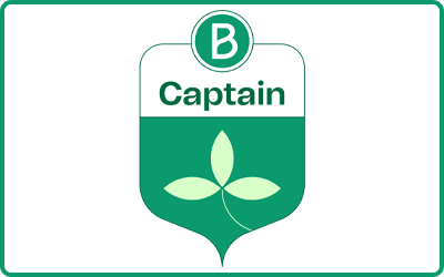 Brevo Captain