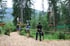 Personen in Klettergurten stehen auf Plattformen und Wegen in einem Hochseilgarten im Nadelwald.