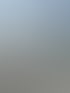 Visualisierung PINUS
