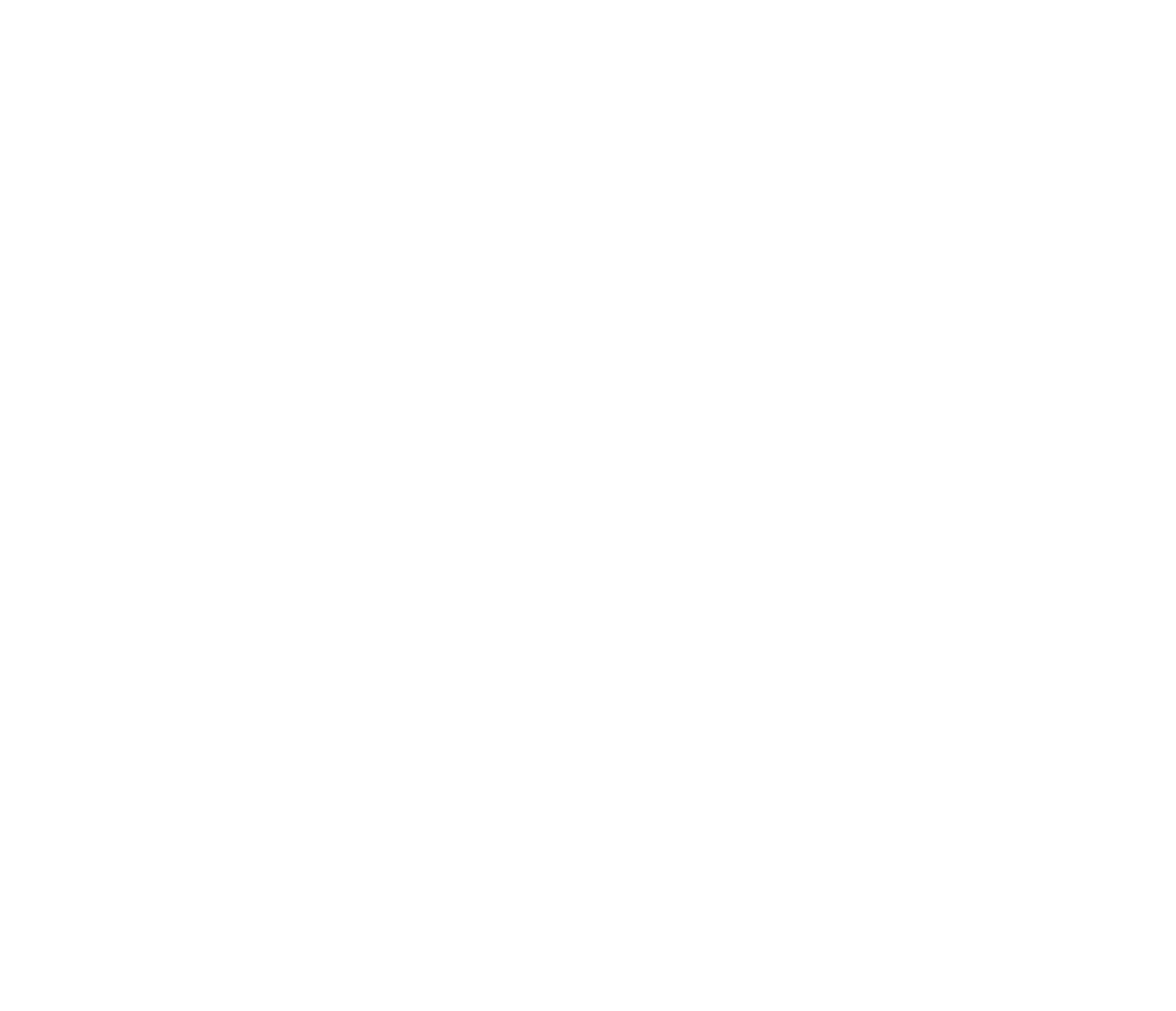 Cavegn Systeme